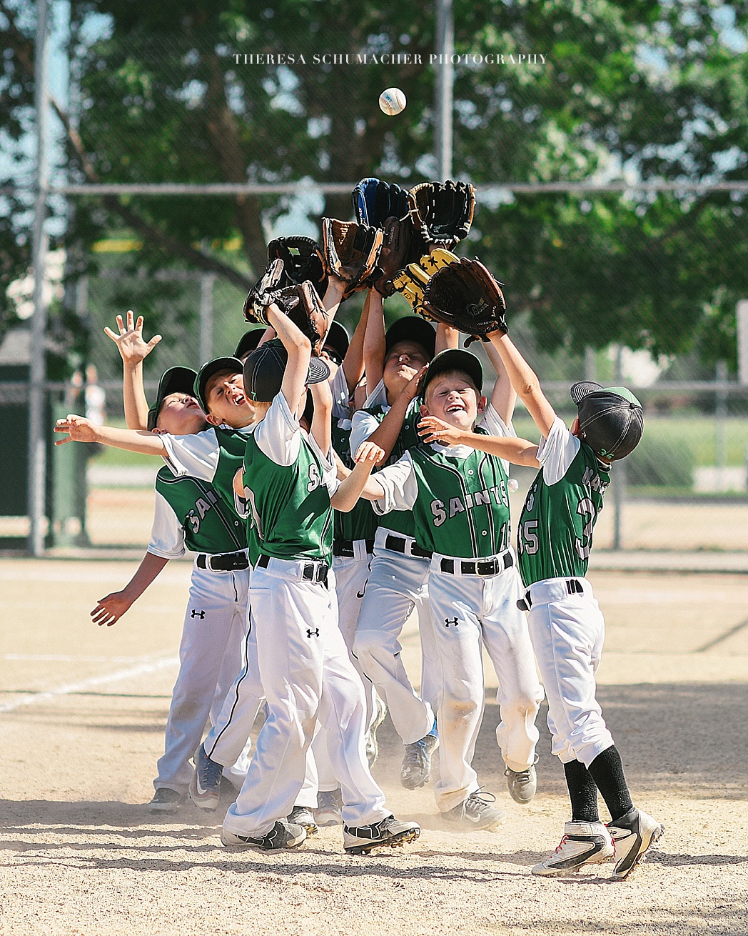 Little League Baseball Iowa State Fair Photography Contest Honorable Mention